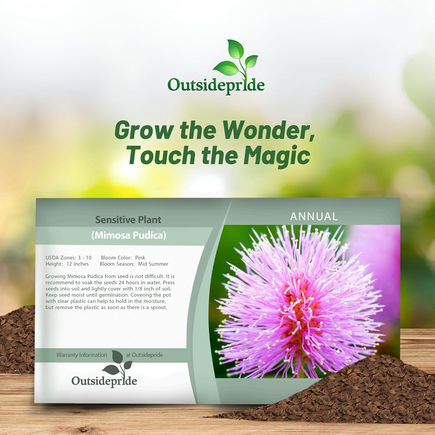 1000 Seeds Mimosa Pudica Seeds For Planting – Sensitive Plant Flower Seed