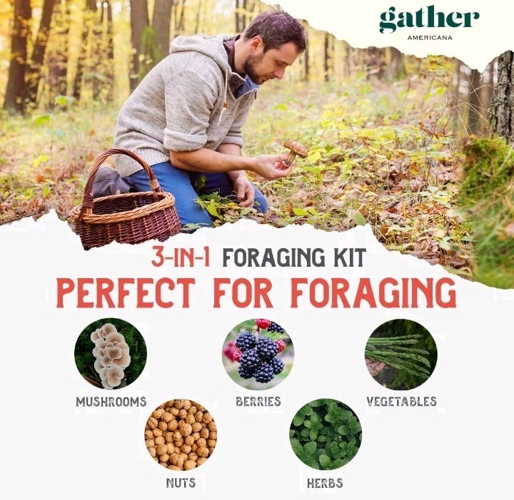 New Gather Americana 3-in-1 Mushroom Foraging Kit – Harvest Natures Bounty
