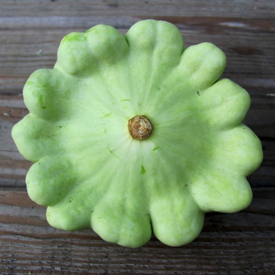 3 Colors Mix Patty Pan Seeds | Yellow, Green, White (Bush Scallop Squash) 2023