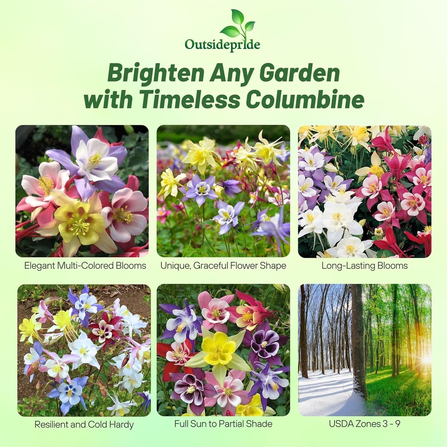 1000 Seeds Columbine Seed Mix For Planting – Aquilegia Caerulea Flower Seeds Mix