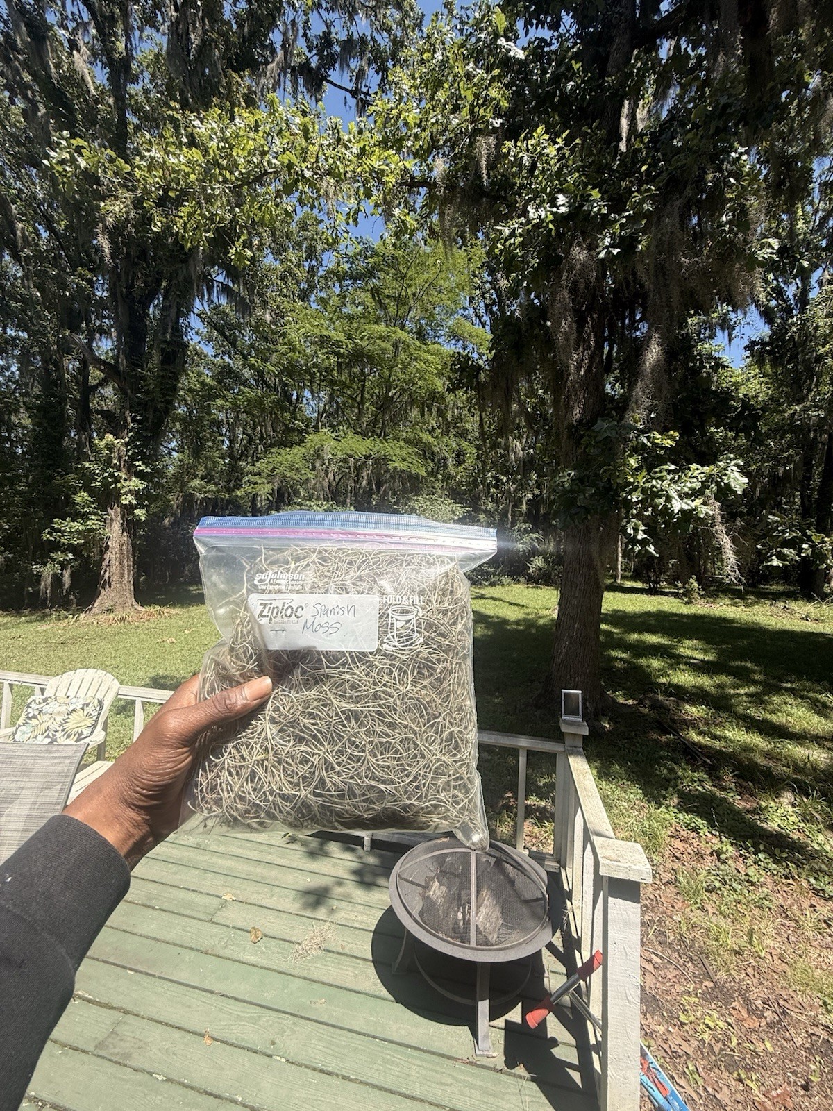 “2” Bags Spanish Moss Gray Green Tillandsia Air Plant