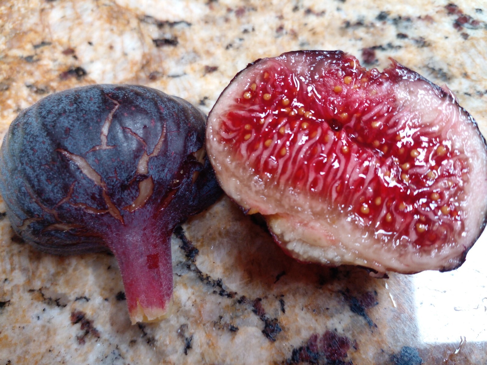 Cherry Cordial Fig Tree – 50 Seeds – Tasty Berry Figs – Easy To Grow From Seed