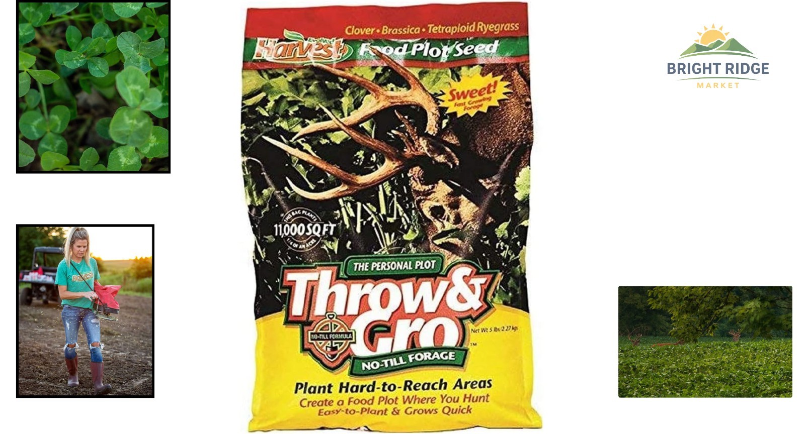 Throw and Gro Food Plot Seeds for Deer – Easy Planting High Germination Rate