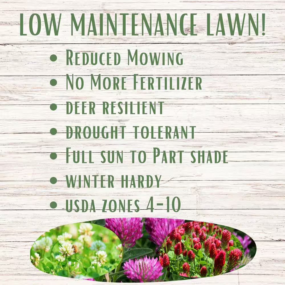 Tricolor Clover Flower Lawn Seed Kit, Easy Spread Shaker, Low Mnt, Alternative G