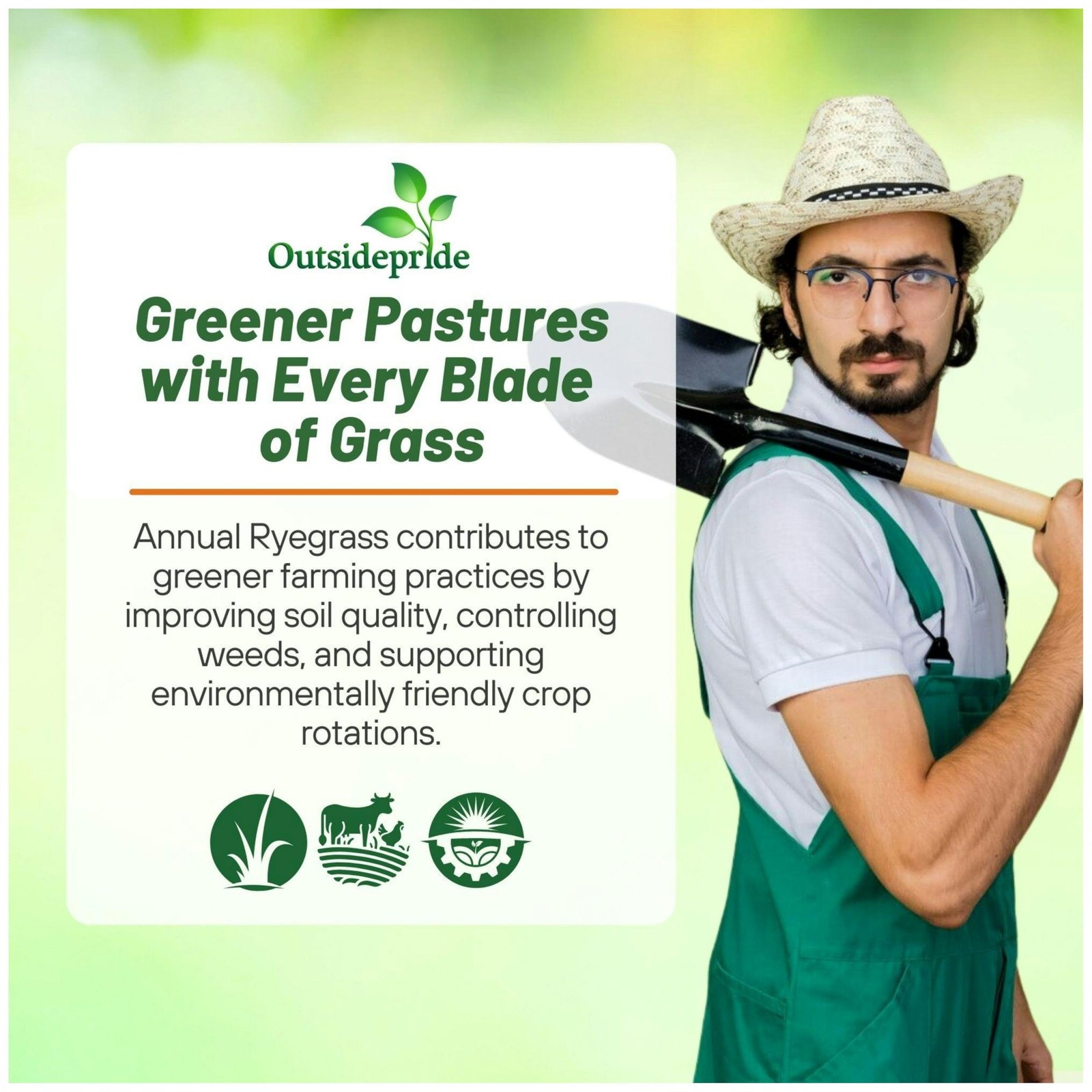 50 LBS Annual Ryegrass Seed – Cover Crop
