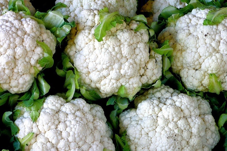 500 SNOWBALL SELF BLANCHING CAULIFLOWER SEEDS ~ 2026 ~ heirloomseedguy ~ USA