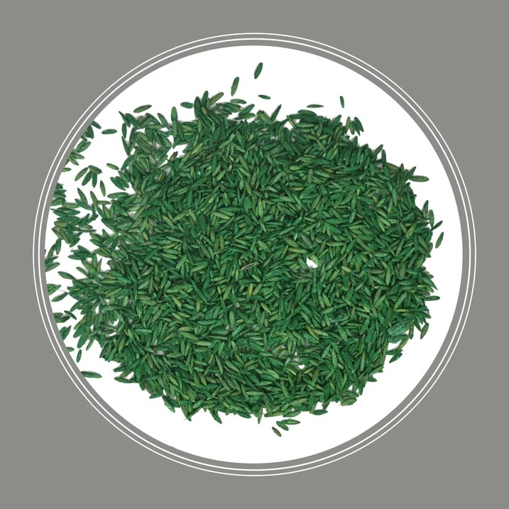 Pennington Central Grass Seed Mix 7 lb Sun & Partial Shade Lawn Seed