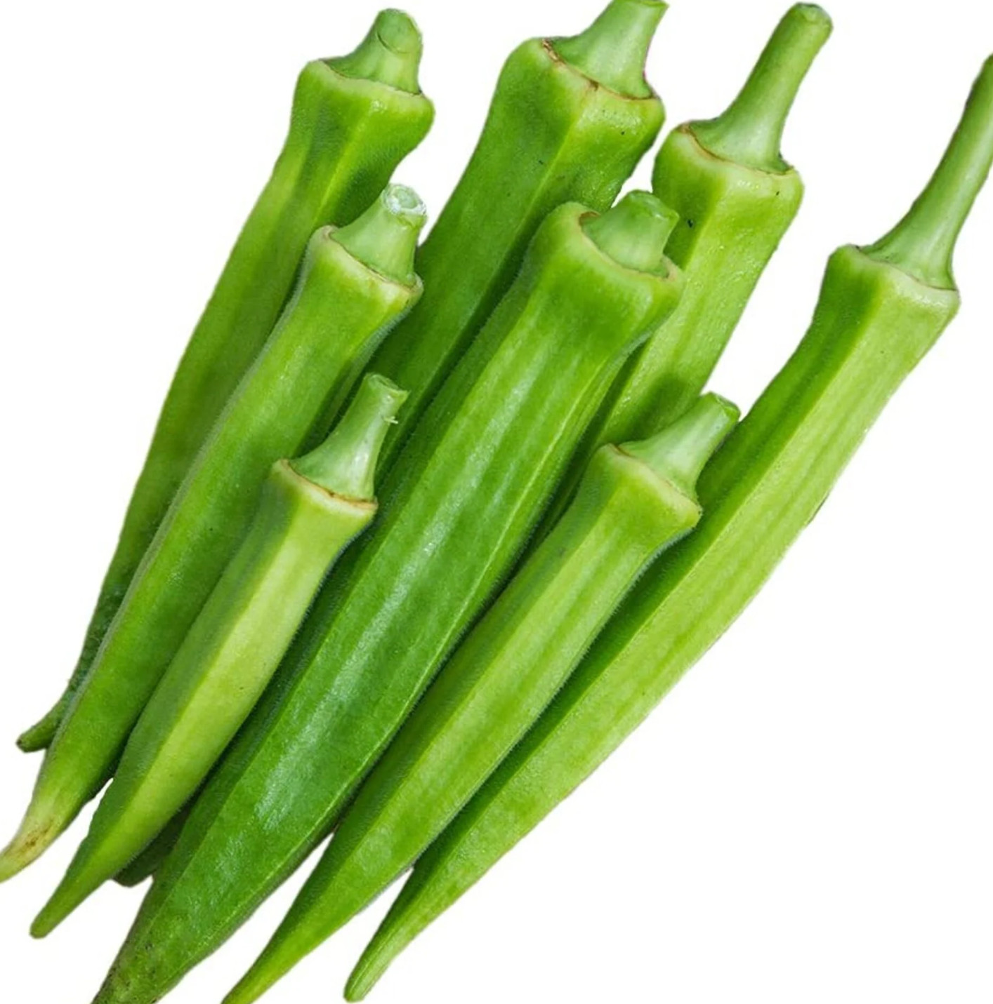 Emerald Okra Seeds | Heirloom & Non-GMO | Fresh Vegetable Seeds