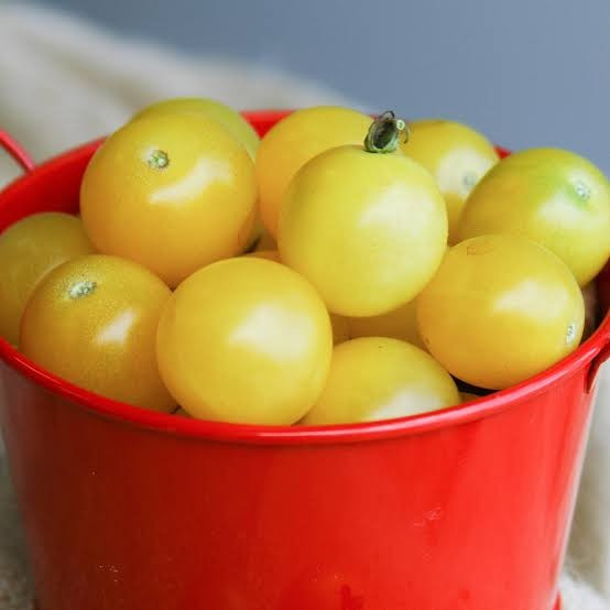 45 ORGANIC Non-GMO White Cherry Tomato Seeds- Seeds Of Tomorrow
