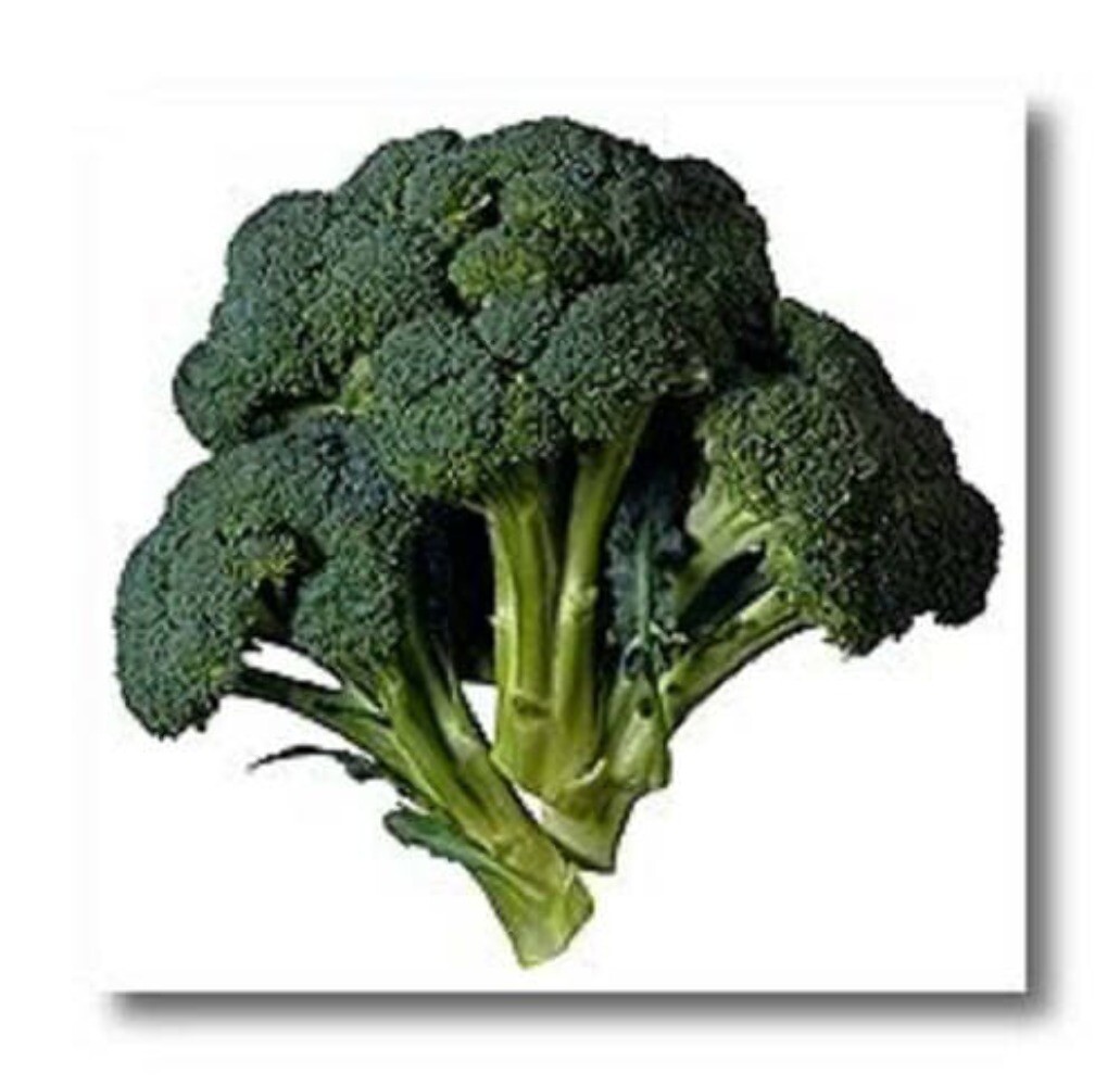 1000 EARLY Fall RAPINI BROCCOLI Raab Rabe Brocoletti Brassica Vegetable Seeds
