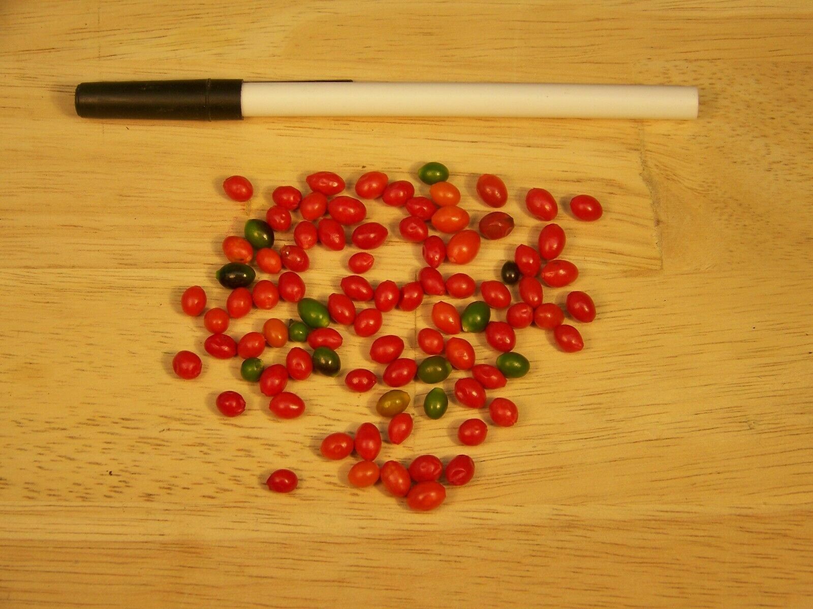 CHILTEPIN PEPPER SEEDS – 20 seeds, free shipping, 2023 harvest for 2024 planting