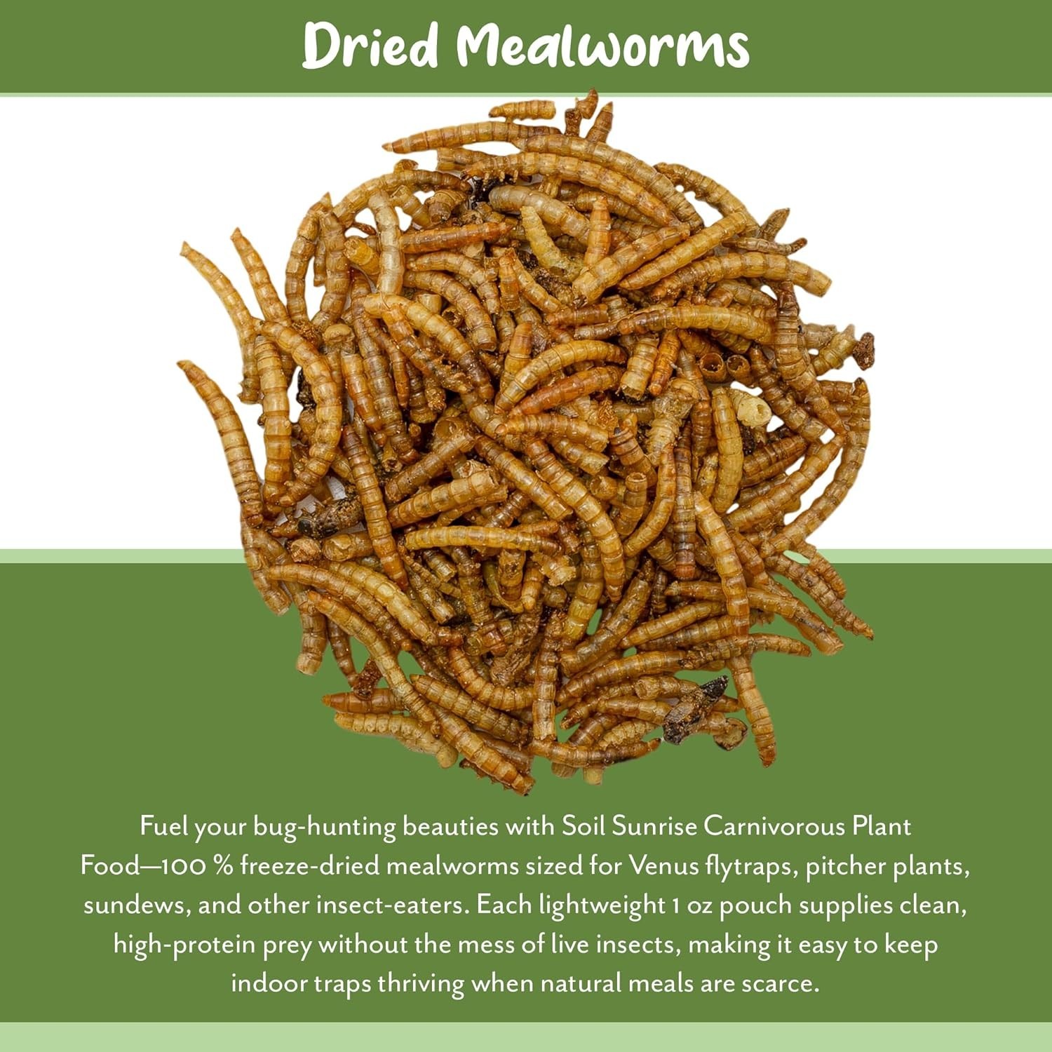 1oz Dried Mealworms – Ideal Carnivorous Plant Food for Venus Fly Traps & More