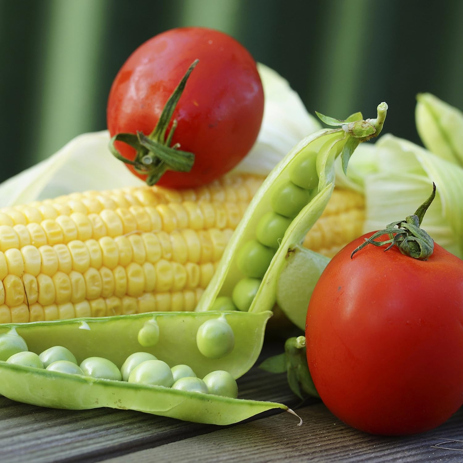 5-14000 Vegetable Garden Seeds 13 Variety 1 Lb No. 10 Can