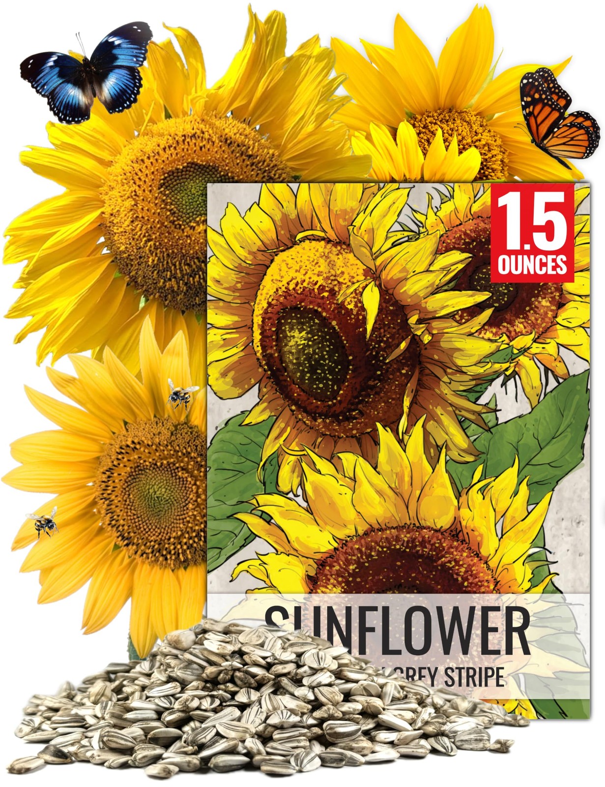 Seed Needs Sunflower Seeds to Plant 600+ Mammoth Grey 1.5 Ounce, Yellow