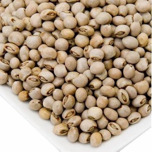 1,000 Pigeon Peas Seeds, Gandules, cajanus cajan, Agroforestry, Permaculture