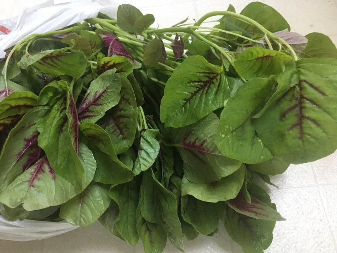 Red stripe Amaranth Seeds, Rau Den, Chinese Spinach seeds Yin Cho Callaloo