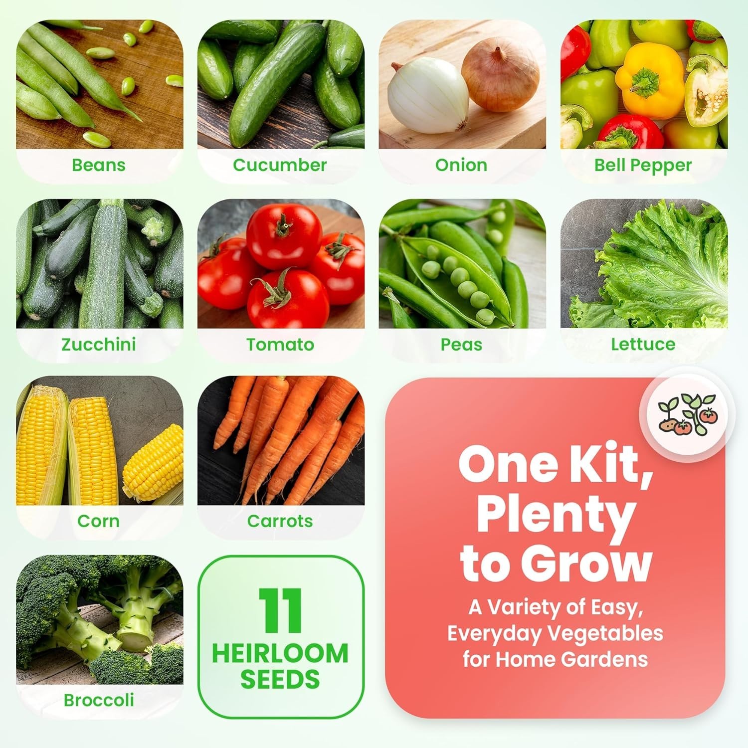 4800 Count Heirloom Seed Vault – High Germination Rate for -Round Gardening