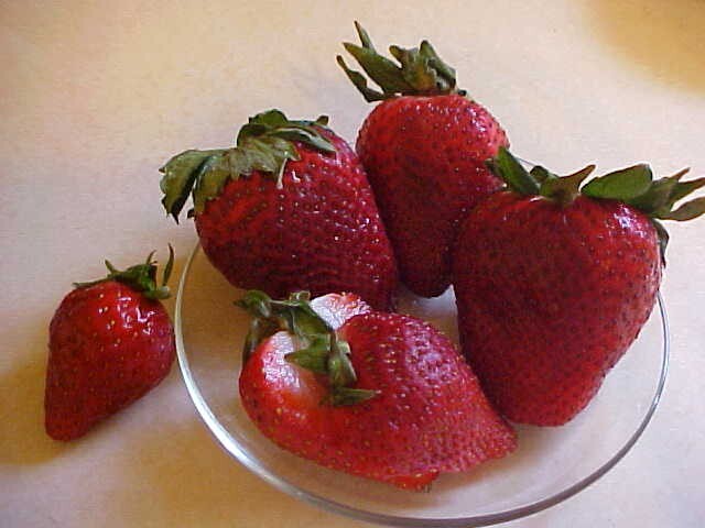 50 SEEDS BIG SWEET MAMA STRAWBERRY PRODUCE SUPER HUGE SWEET STRAWBERRIES ENJOY
