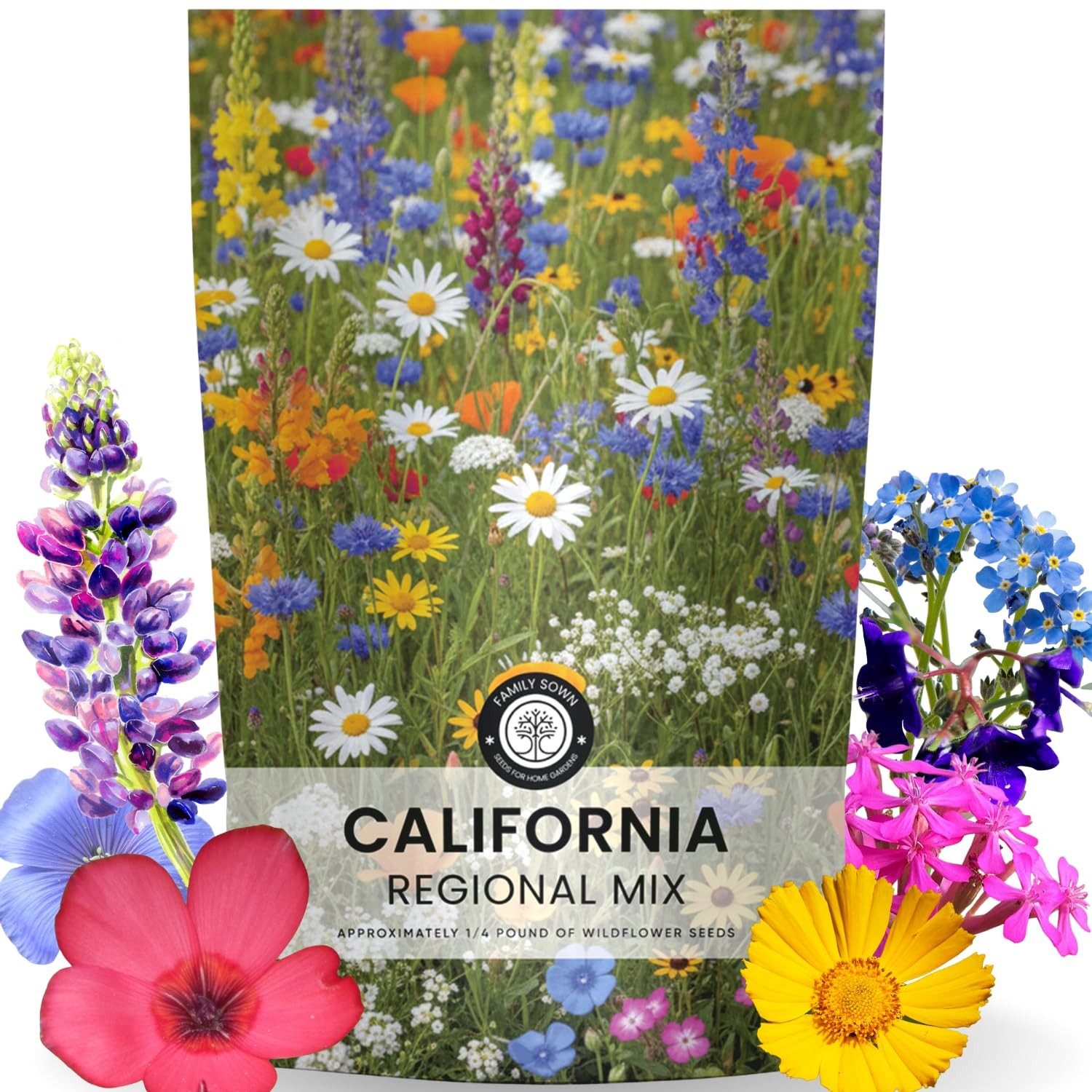 California Regional Seed Mix – 79,000 Seeds for Planting – 4 Ounce Pouch