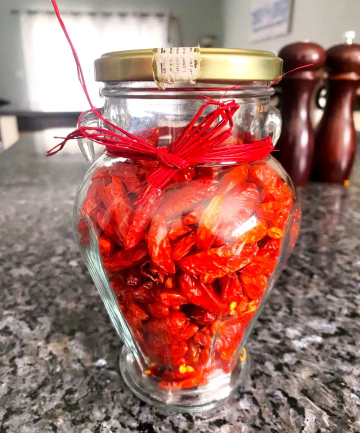 Tabasco Hot Pepper Seeds – For 2026 Planting 5,000 Scoville Spicy Red Green Hot