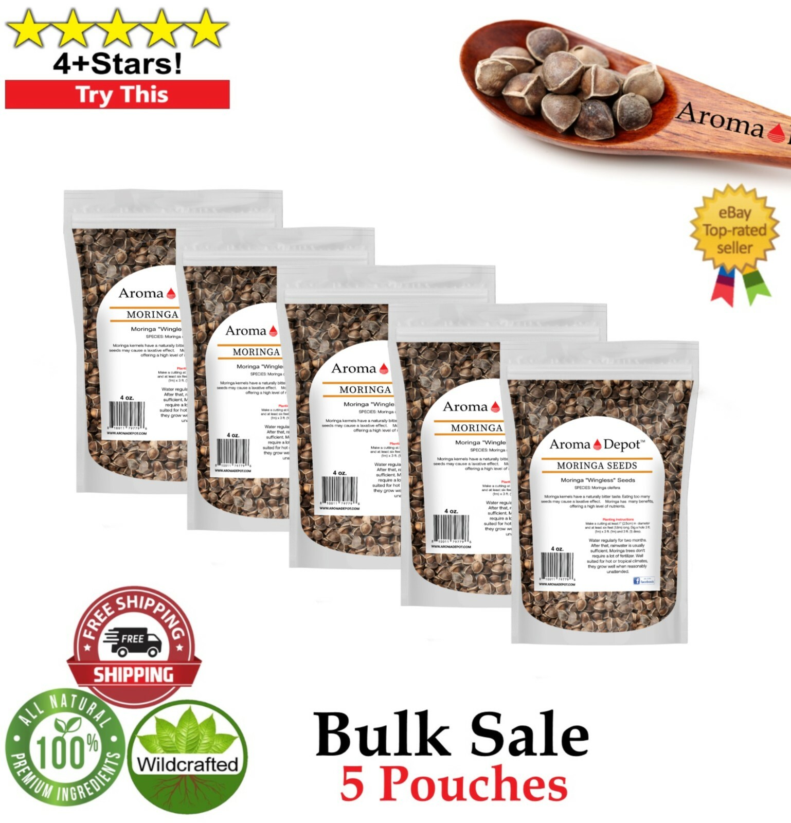 4 oz. Moringa Seeds 400 Fresh Semilla de Moringa oleifera 5 Pouches Malunggay