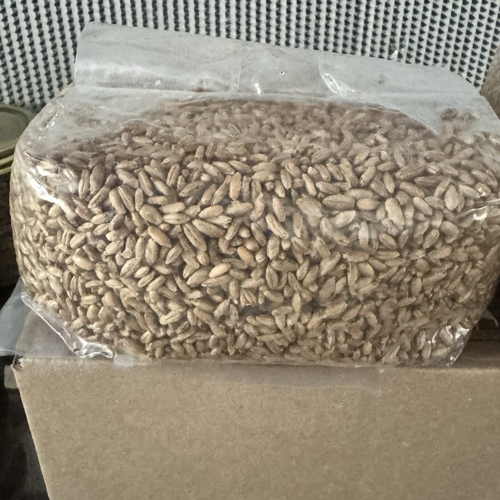 2 lb Sterile Rye Spawn Bag W Injection Port-mushroom Substrate