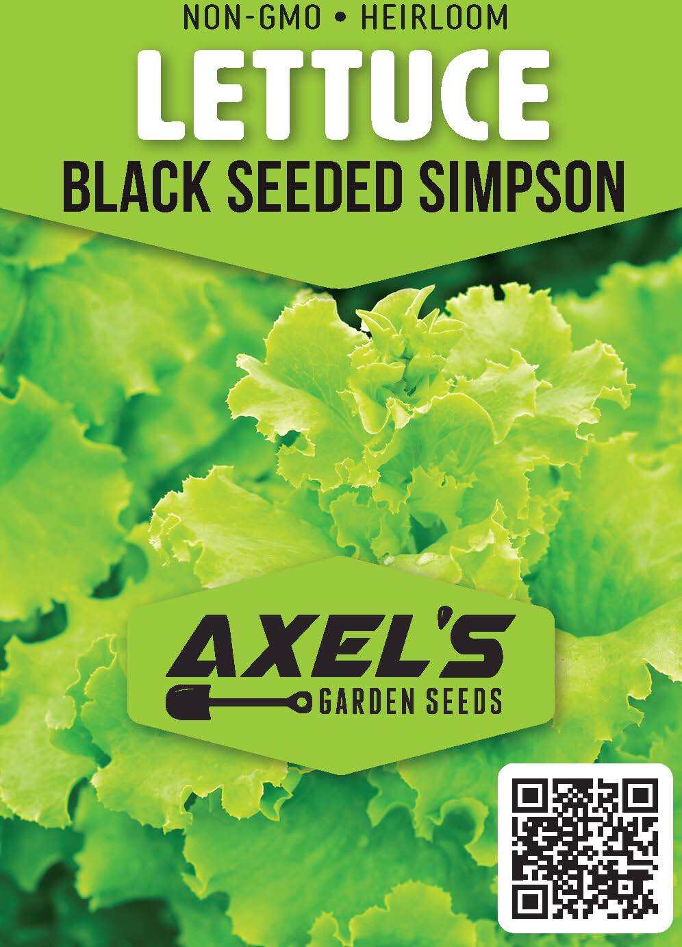 Lettuce Seeds – High Yield Heirloom Non-GMO, Free Shipping, Black Seeded Simpson