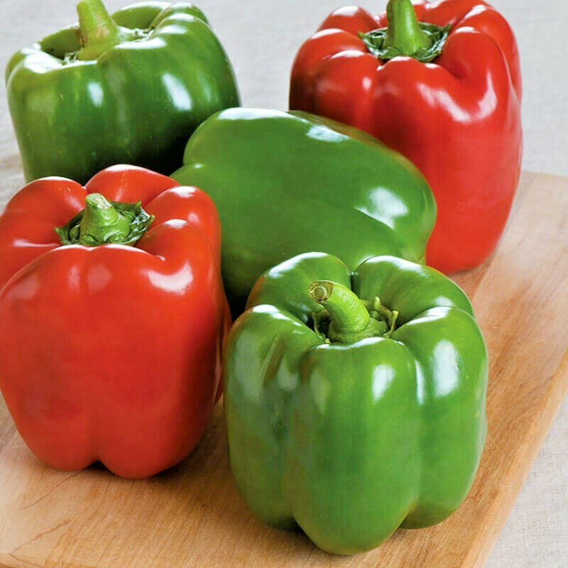 California Wonder bell pepper seeds NON-GMO VERY HEALTHY BIG TASTE NUTRITIOUS!