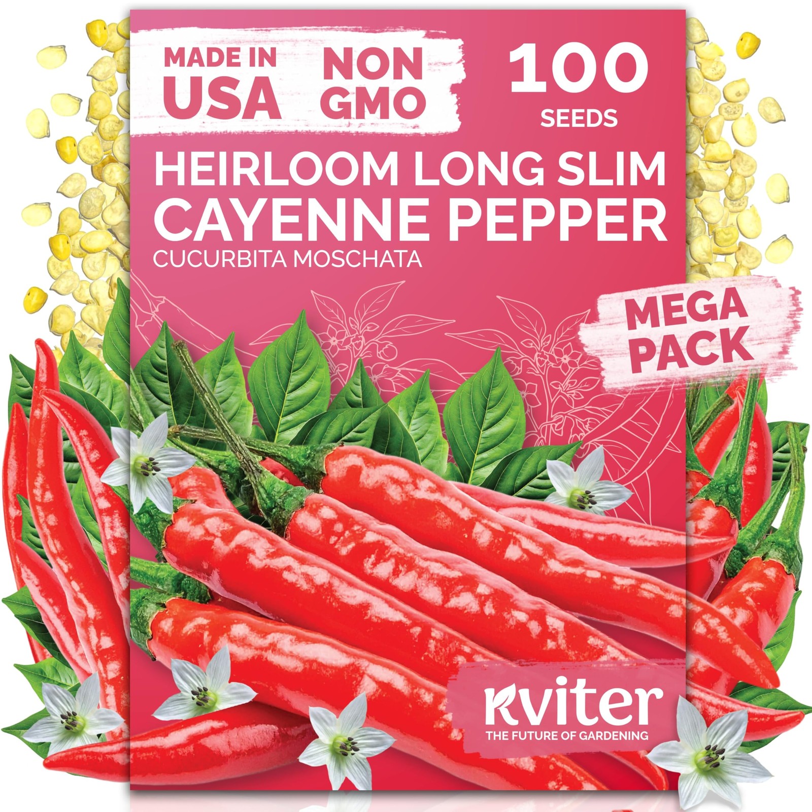 KVITER Cayenne Long Slim Hot Pepper Seeds 100
