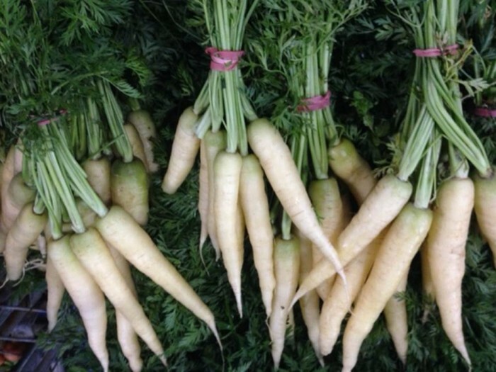 Lunar White Carrots 300 – 32,000 Seeds Coreless RARE Bulk Tastiest Wholesale
