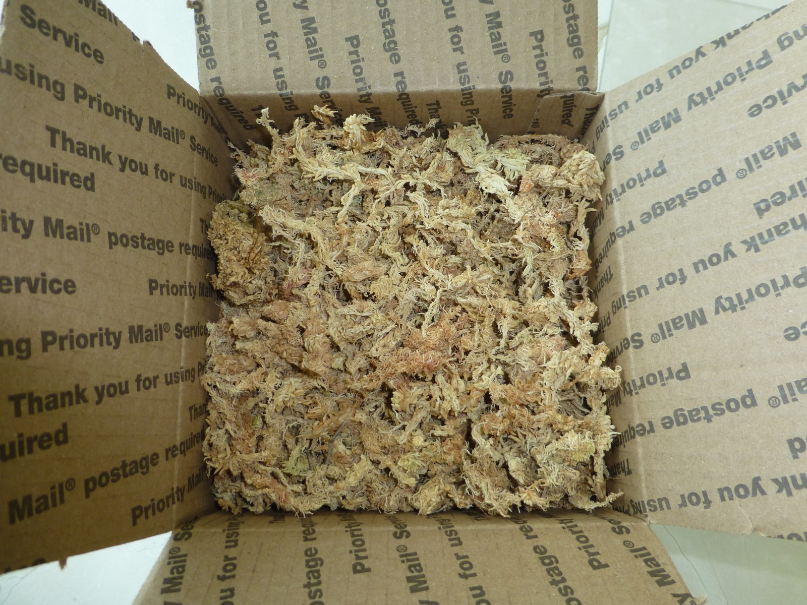 Premium New Zealand Sphagnum Moss AAA Grade for Plants Orchids Reptiles
