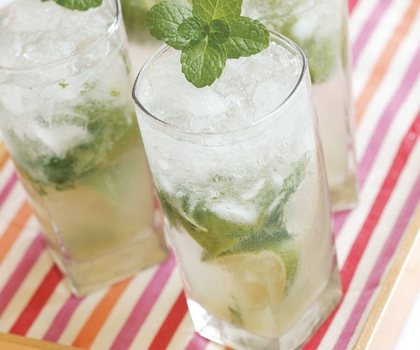 SPEARMINT * 50 SEEDS * MINT JULEP*CONFECTIONERY* HERBAL TEA * AROMA*