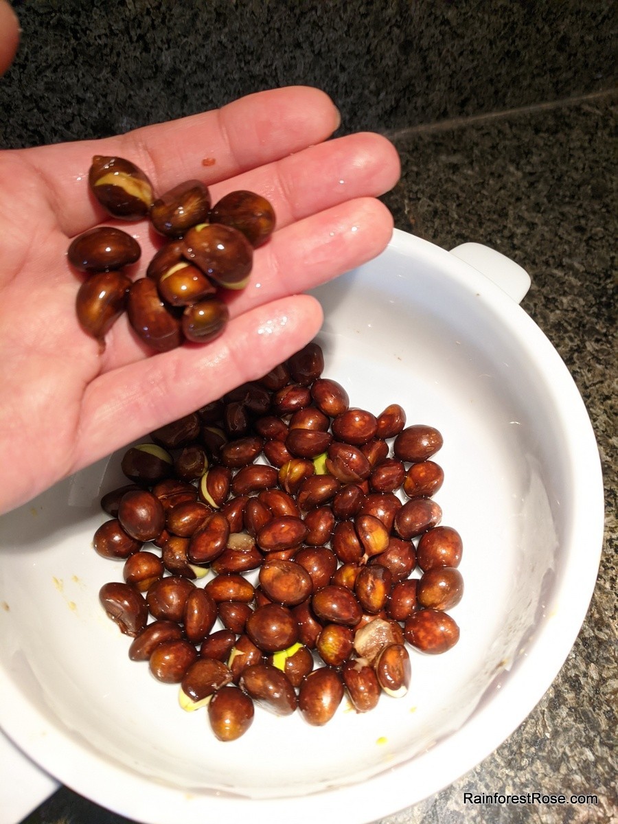 20 fresh Loquat seeds delicious fruit, sweet, sour vitamin Rosaceae Rose family