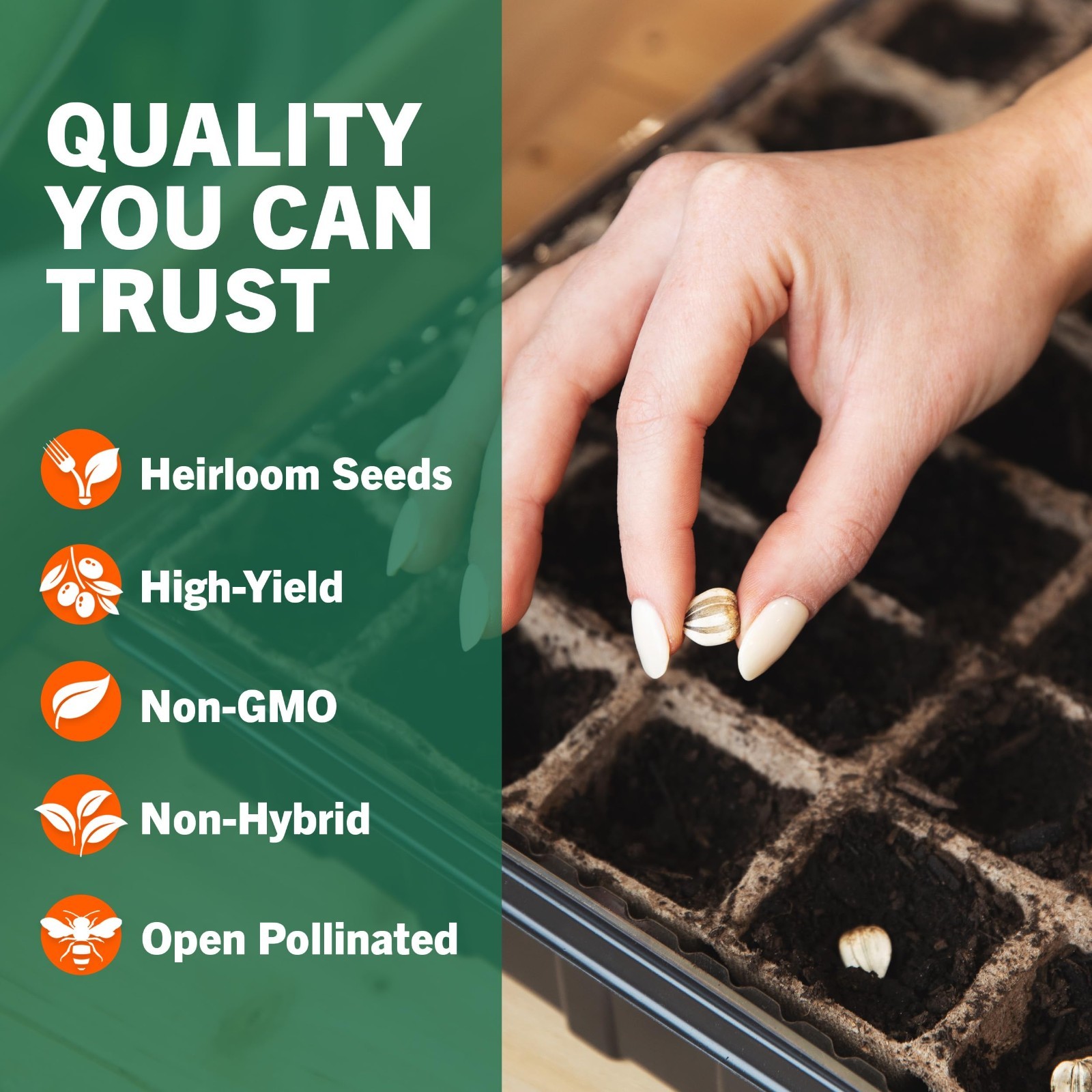15,000 Heirloom Seeds – 32 Varieties | Non-GMO Survival Seeds for Indoor & Outdo