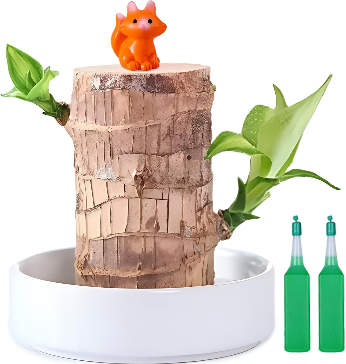 Brazilian Lucky Wood Plant,Fortune Brazil Wood Potted Plant with Little Fox Figu
