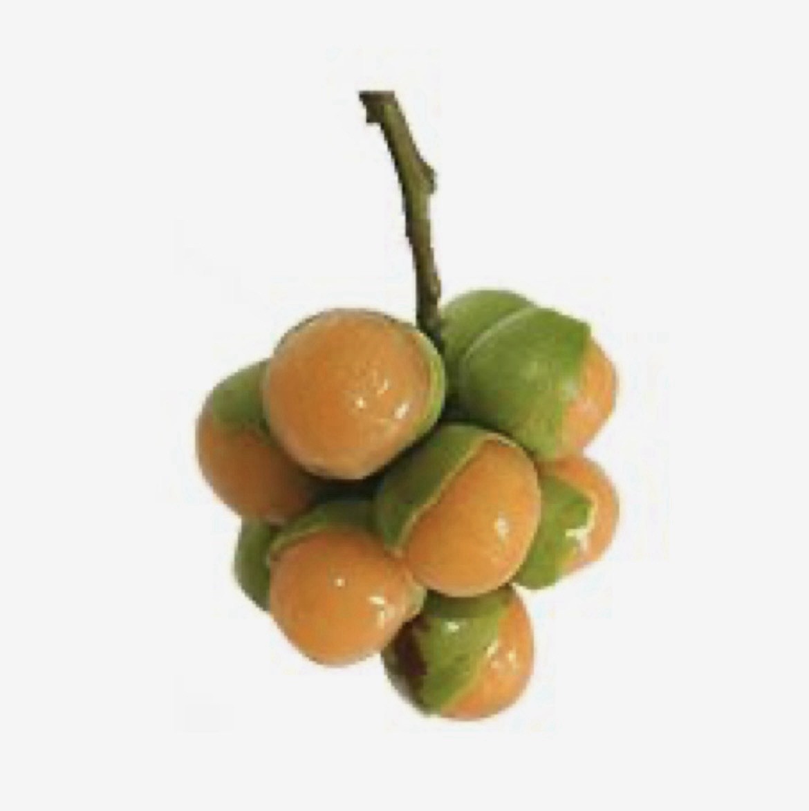 2 LbsFresh Mamoncillos Quenepas Mamones Spanish Lime Fruit Organic Ready To Eat