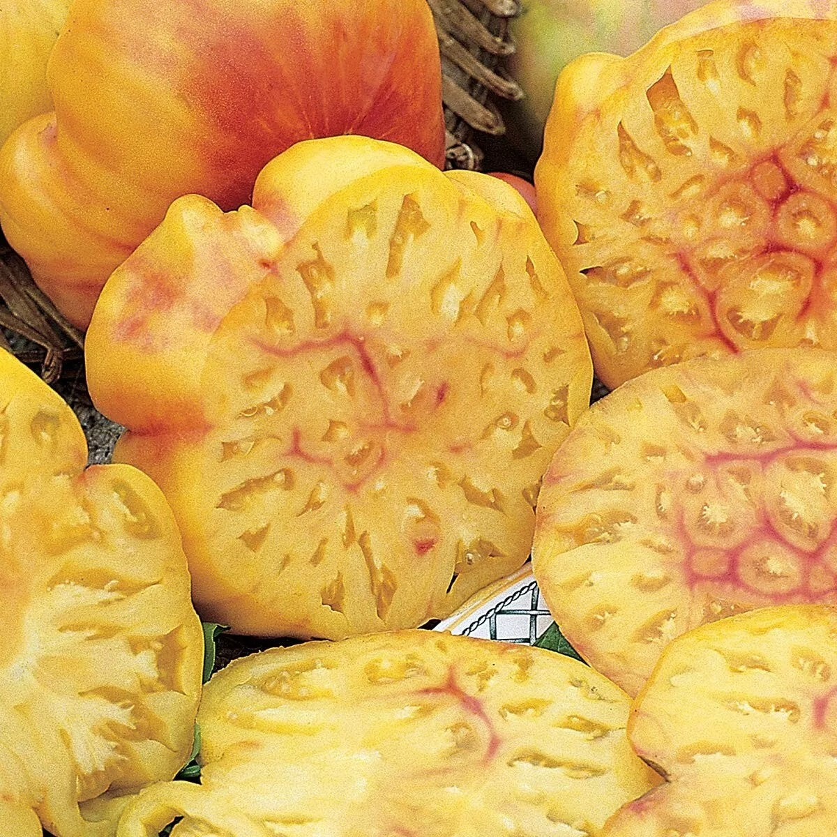 240+ Pineapple Tomato Seeds – Heirloom – Organic – NON GMO — FRESH — RARE