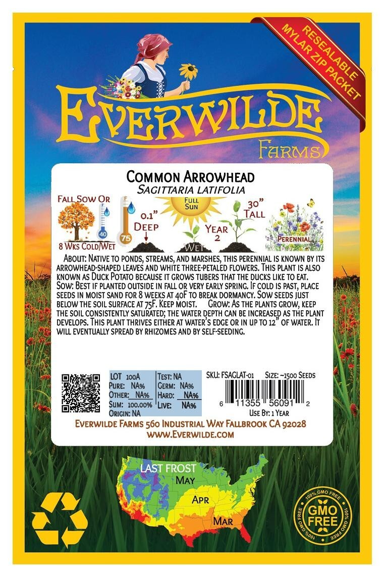 750 Common Arrowhead Wildflower Seeds – Everwilde Farms Mylar Seed Packet