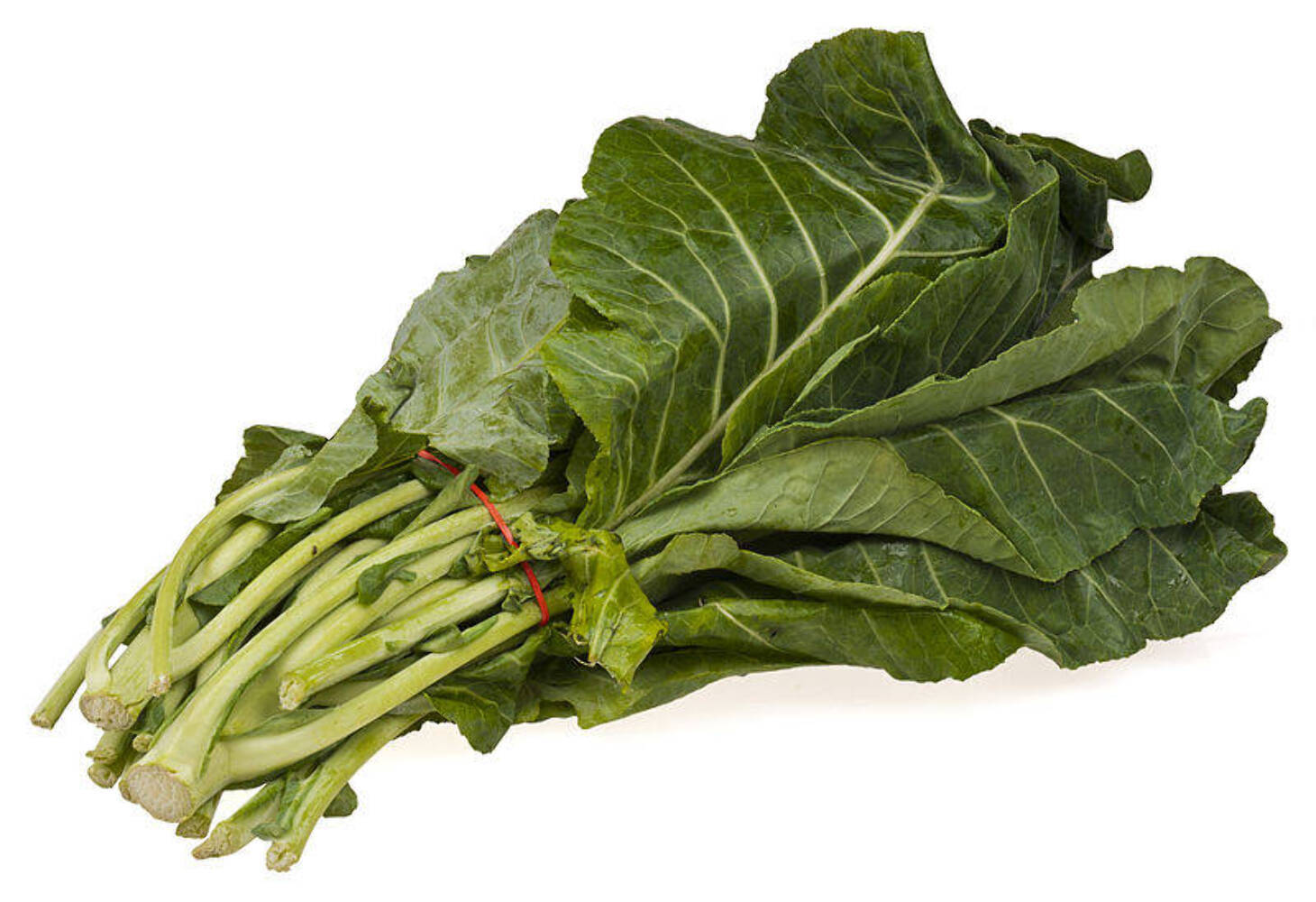 1000 PREMIER KALE Early Hanover Brassica Oleracea Greens Vegetable Seeds *CombSH