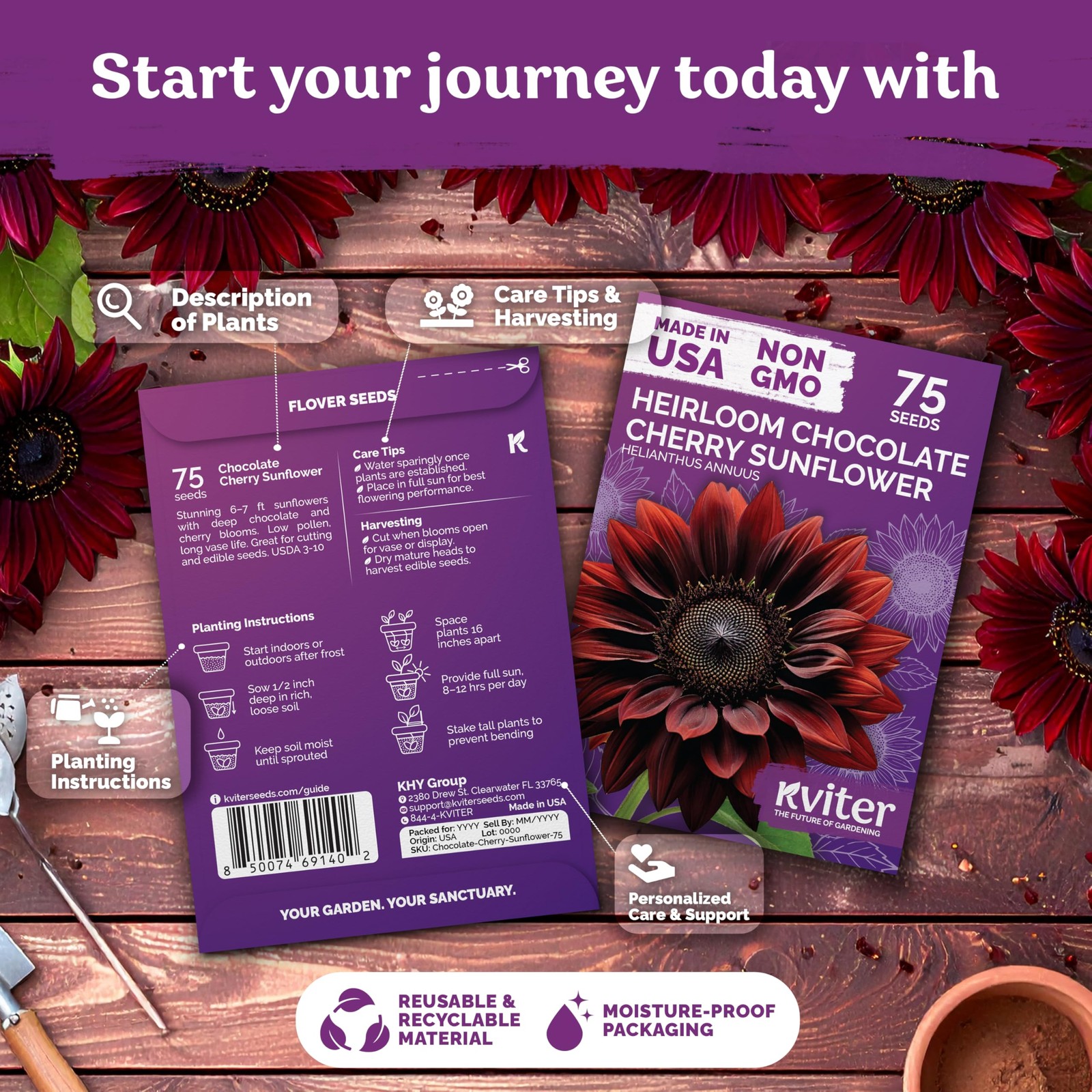 KVITER 75 Chocolate Cherry Sunflower Seeds to Plant (Helianthus annuus)