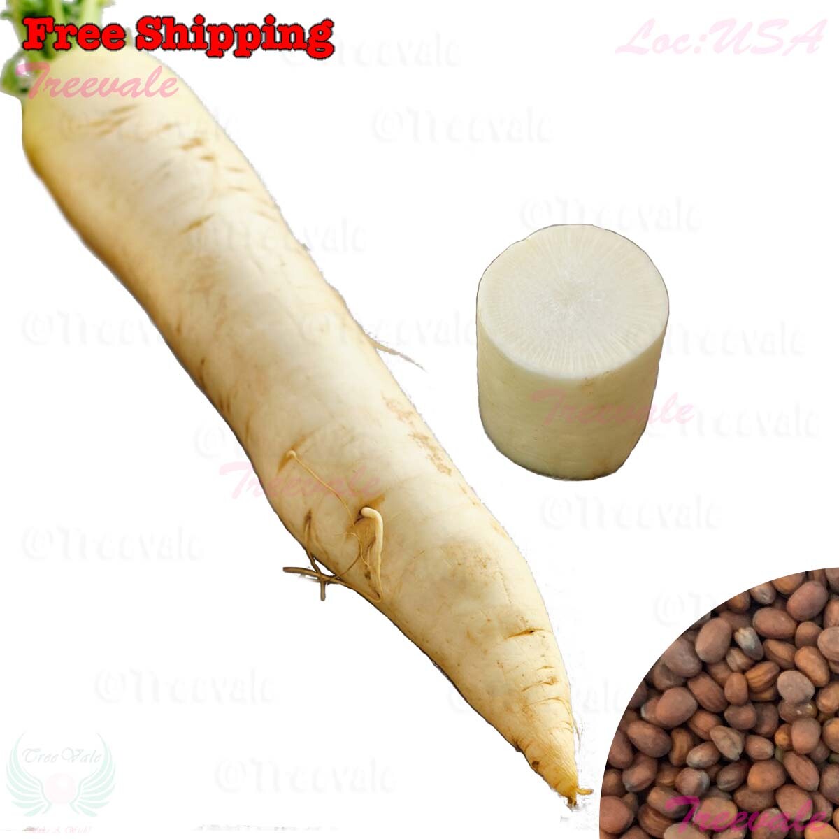 Daikon Radish Seeds, Japanese Minowase Daikon Radish Seeds | NON GMO