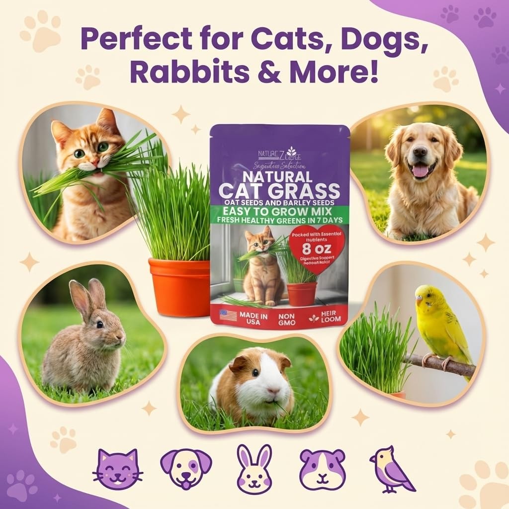 Premium Cat Grass Seeds for Indoor Cats NonGMO Oat & Barley Blend, 1 lb