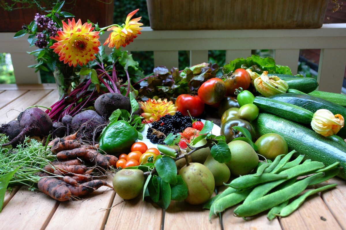 25 Heirloom Varieties! 13,000 + Seeds!! NON – GMO Survival/ Garden Seed Cache