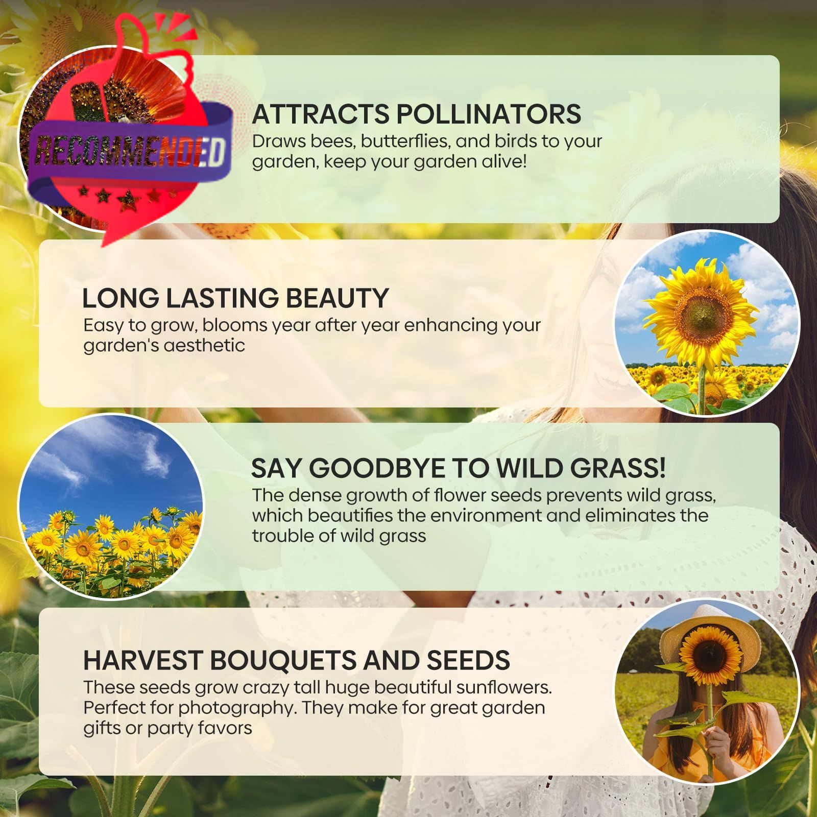 Sunflower Seeds Planting 15+ Varieties 1 Oz Mixed Colors Outdoor Garden Blooms