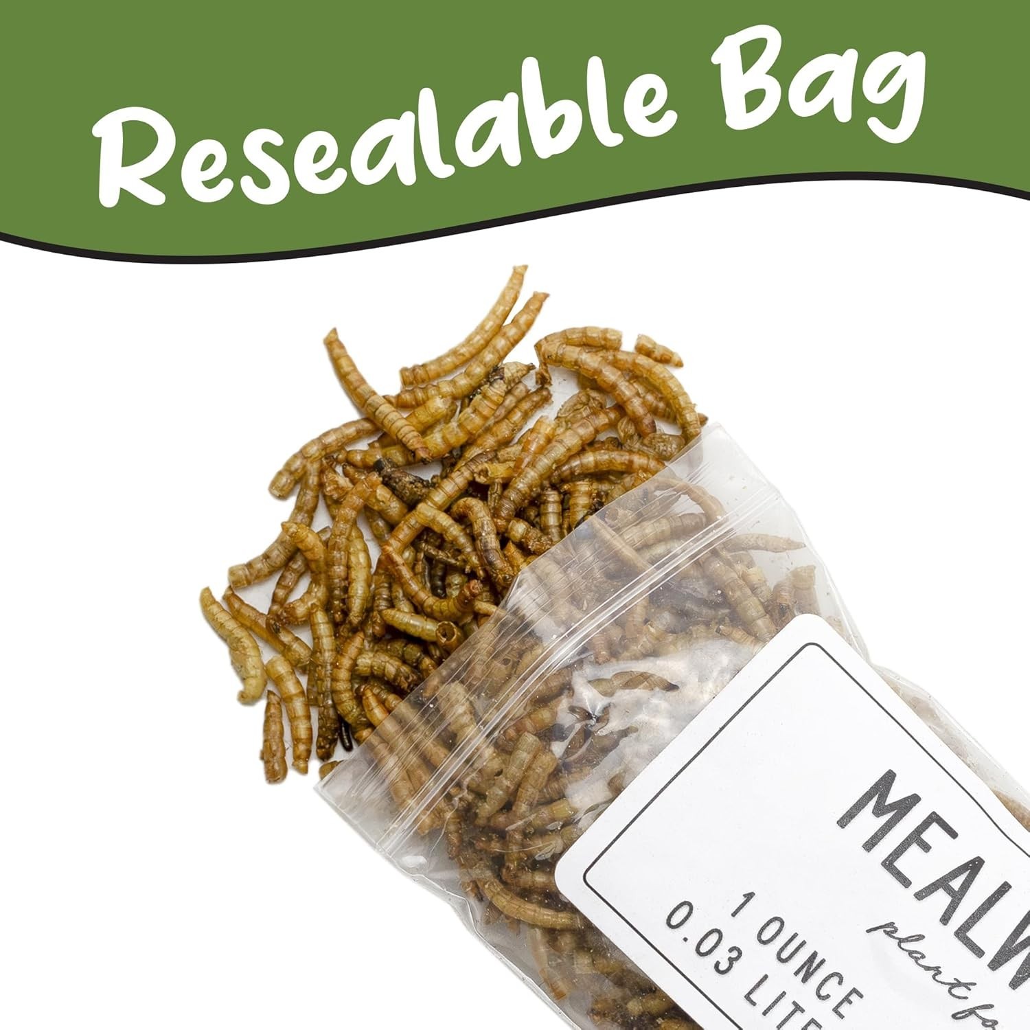 1oz Dried Mealworms – Ideal Carnivorous Plant Food for Venus Fly Traps & More