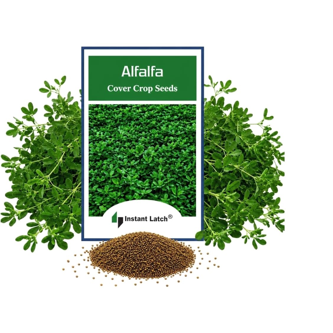 500 Alfalfa Cover Crop Seeds for Planting Non GMO Heirloom Seeds Fresh Garden…