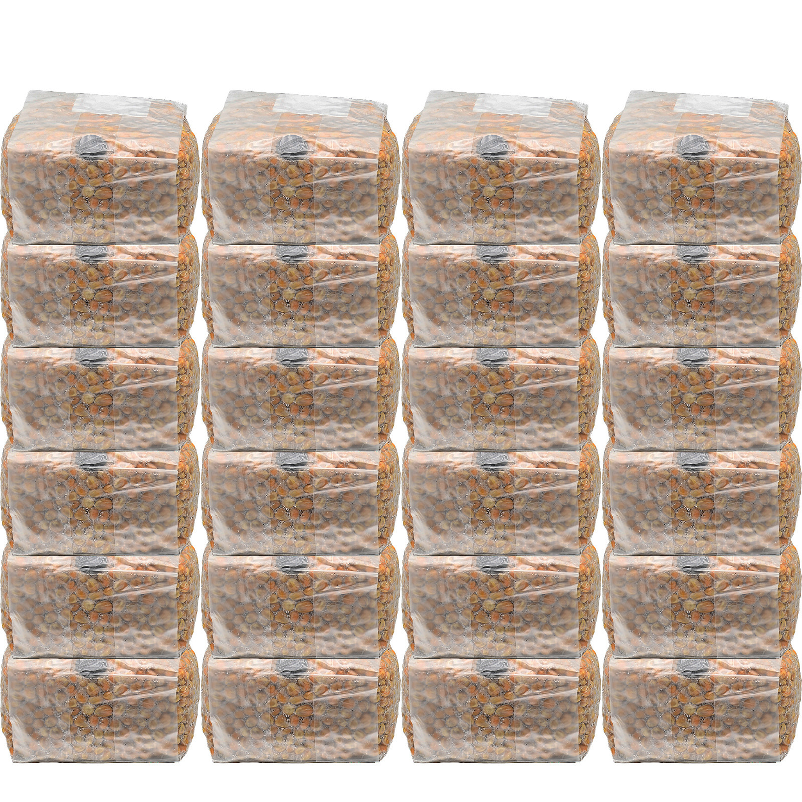 Sterilized Popcorn Mushroom Substrate (24 one pound bags)