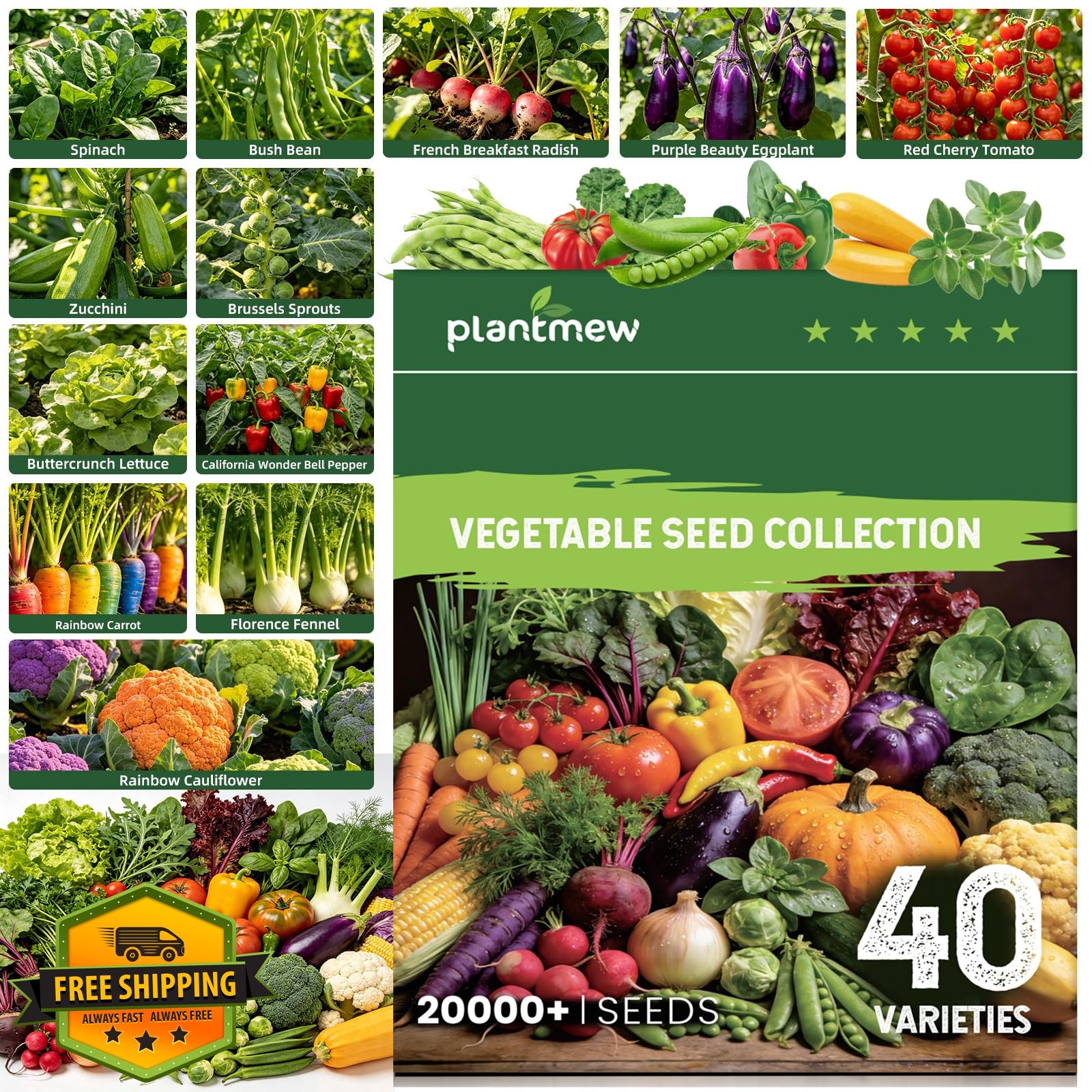 PLANTMEW 40 Vegetable Seeds Variety Pack