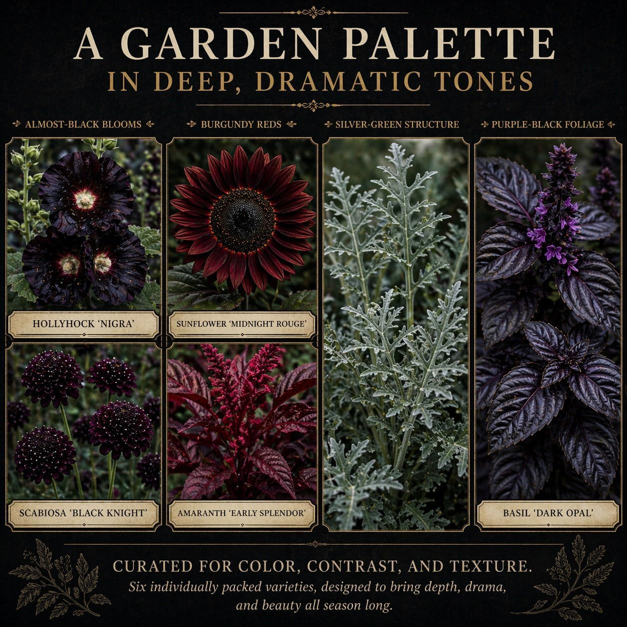 Ravens Hollow Garden Gothic Garden Seed Collection, 6 Open-Pollinated Flower & F