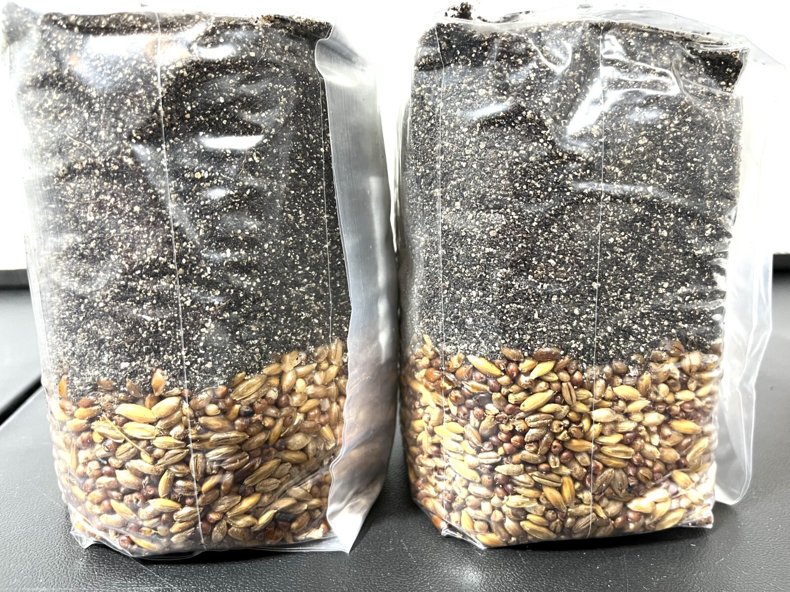 Magical 2lb All in One Mushroom Grow kit Pack of 2